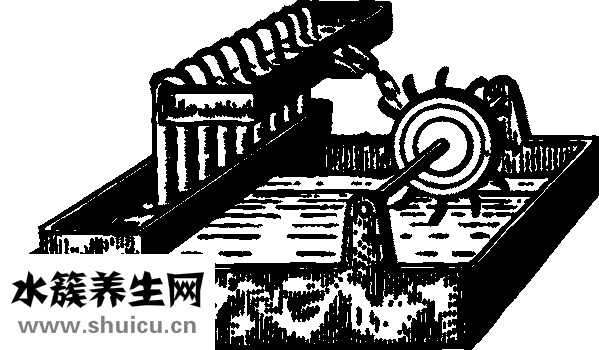 手腕是哪個(gè)部位