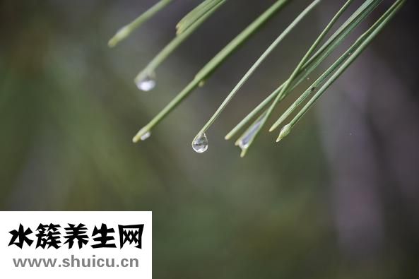 收汁要蓋鍋蓋嗎