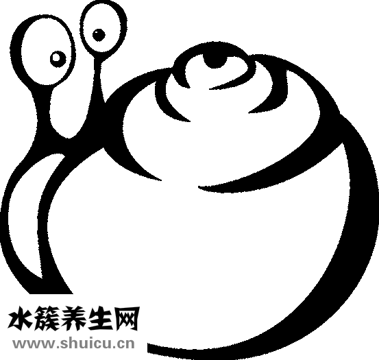 眼睛過敏用什么藥