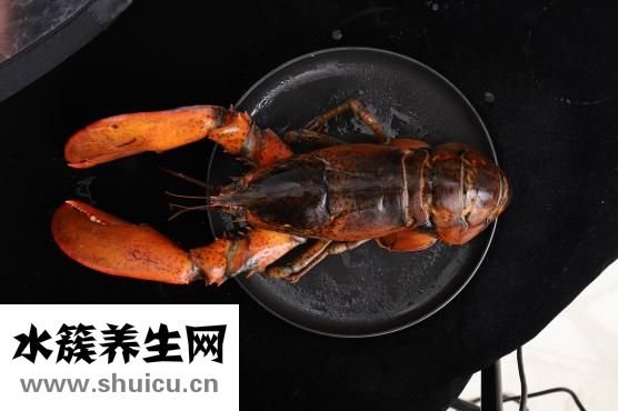 盱眙龍蝦怎么讀