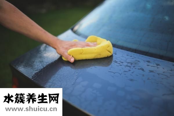 蛇莓的功效與作用