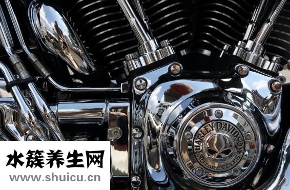 胃動力最好的中成藥