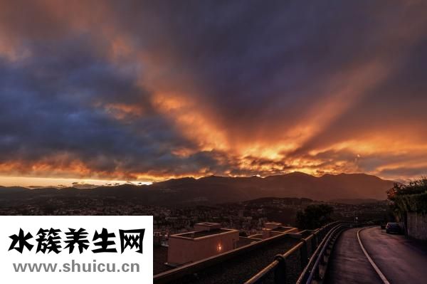 燕窩如何分辨真假