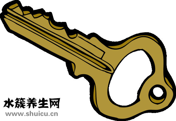 腎上腺素是什么