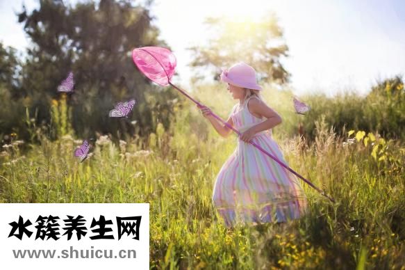 車厘子是不是櫻桃