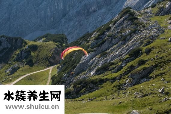 腎上腺素是什么