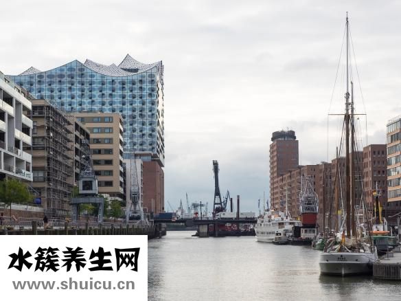 西北婦幼醫(yī)院官網(wǎng)