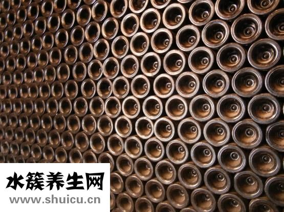 牙齒的種類有哪些