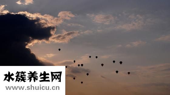 跳繩的最佳時間