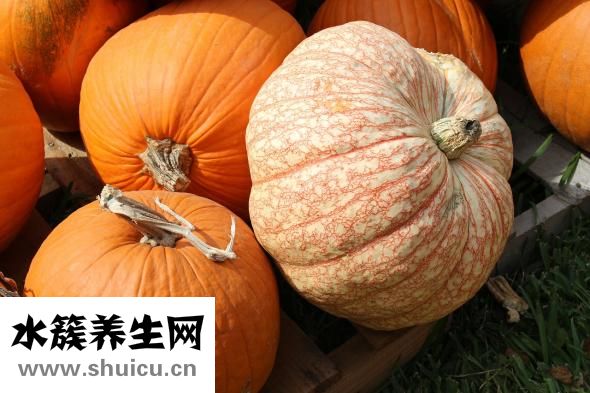 倭瓜南瓜的區別