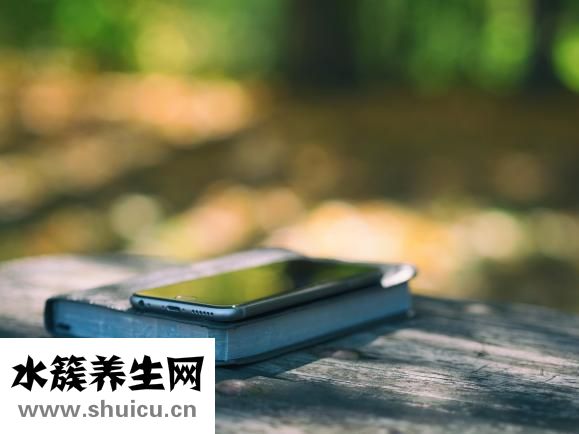 牙齒的種類有哪些