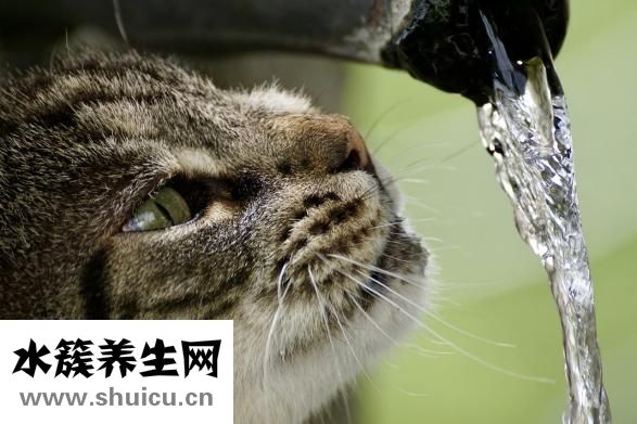 孕婦上火怎么辦