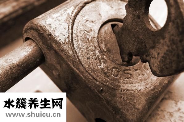 墨魚干怎么做好吃