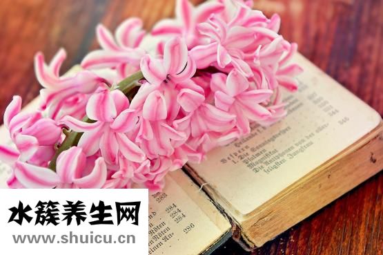 為什么月經是黑色的