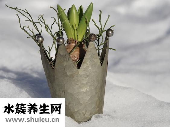 右眼皮跳是什么預兆