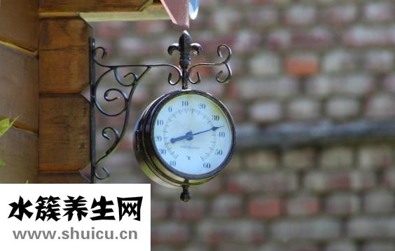 體溫計要量多久