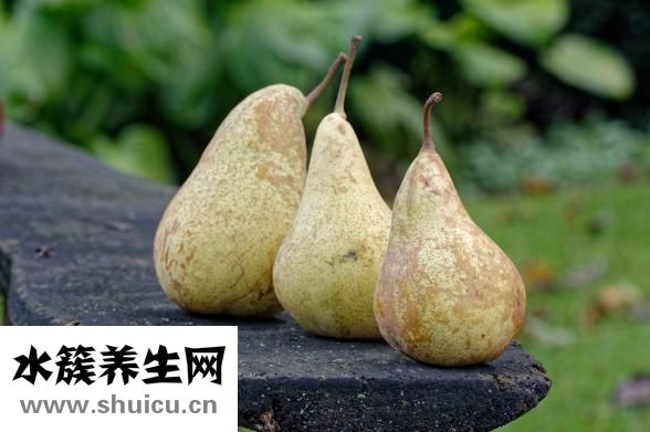 咳嗽有痰吃什么水果