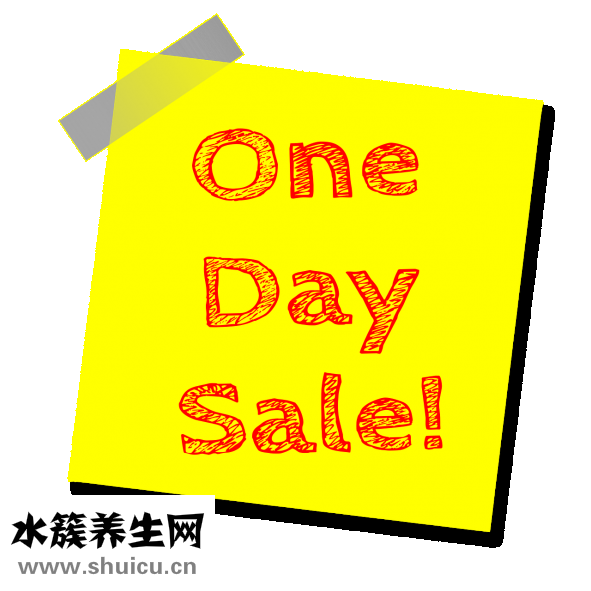 哈尼是什么意思