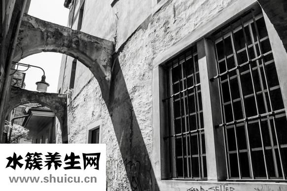 五位一體是什么