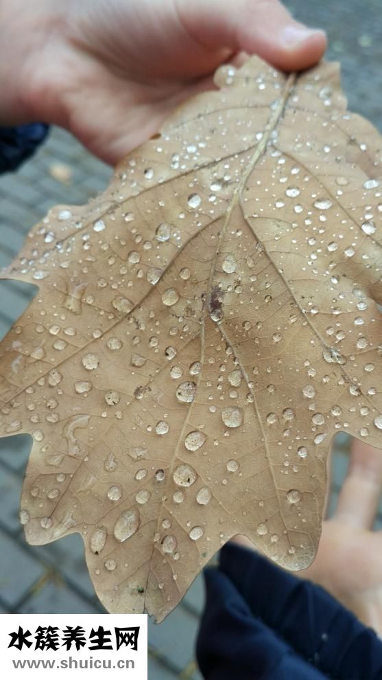 多潘立酮片是什么藥