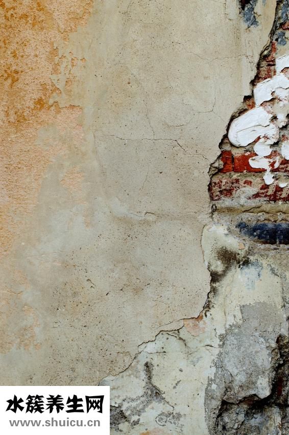 人活著的意義是什么