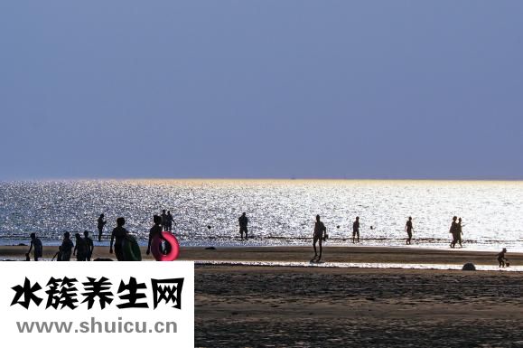 如何科學(xué)減肥