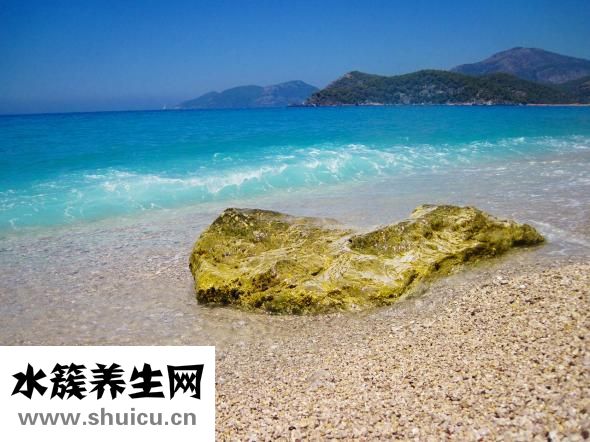 拔牙后多久可以鑲牙