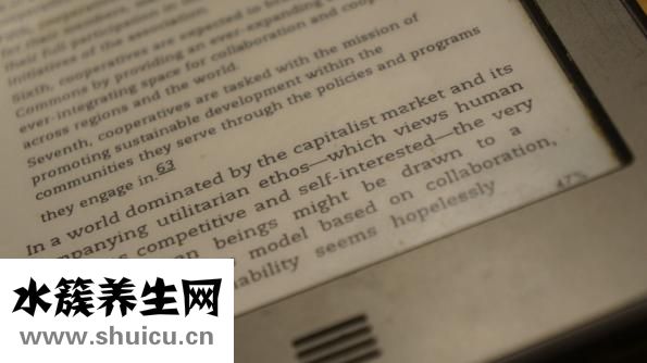 哈尼是什么意思