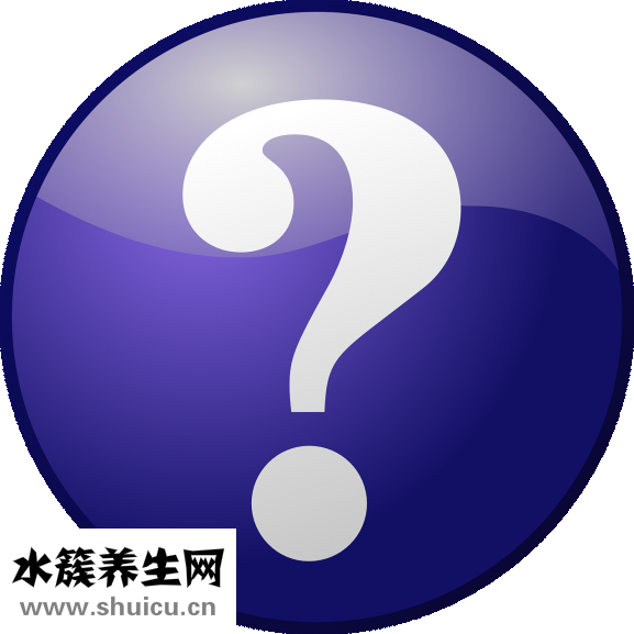 頭發(fā)少適合什么發(fā)型