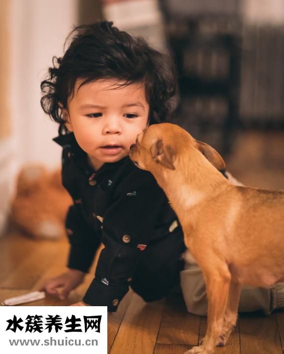 小孩低燒怎么辦