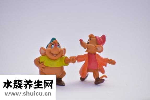 抽脂要多少費用