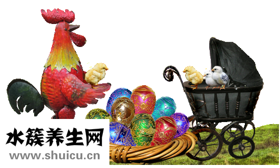 寶寶吃什么補鈣