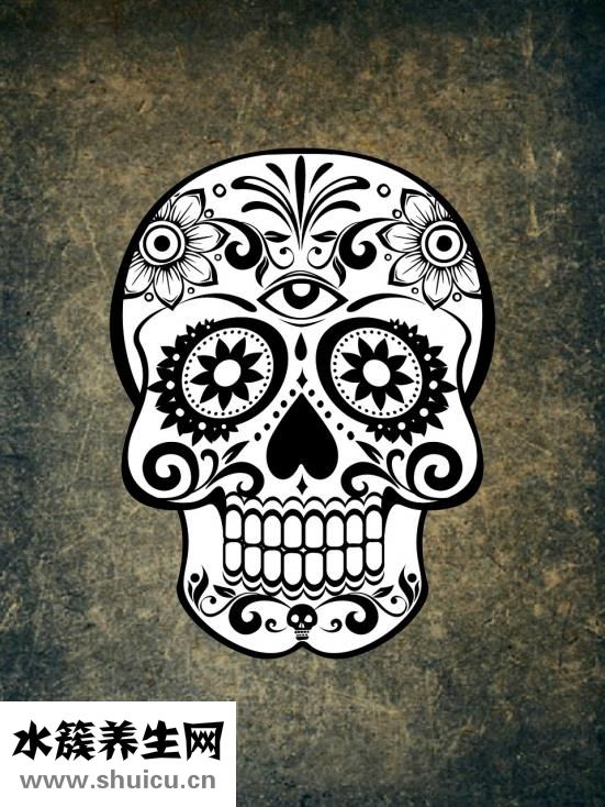 人有多少塊骨頭