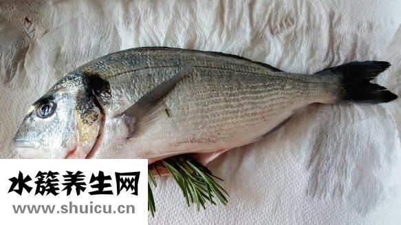 吃海鮮過敏怎么辦