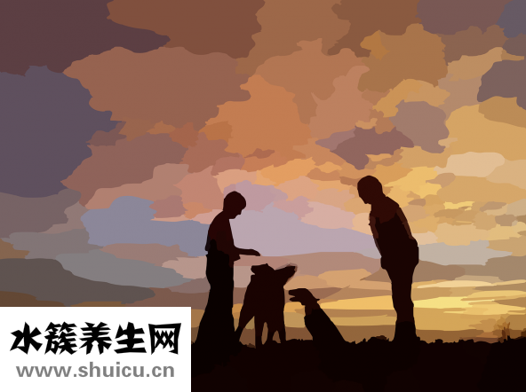 懷孕多久有反應(yīng)