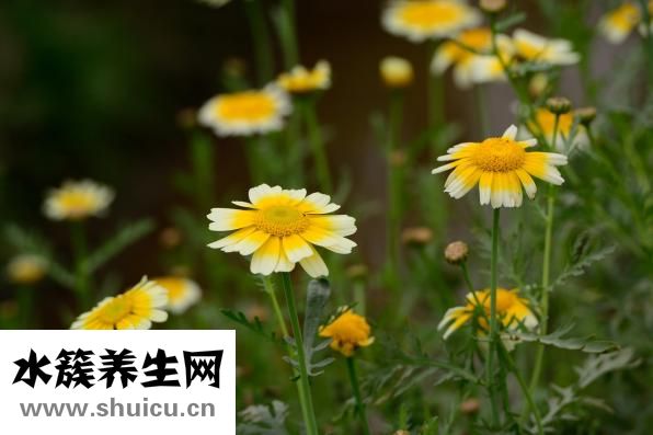 引產后多久可以同房