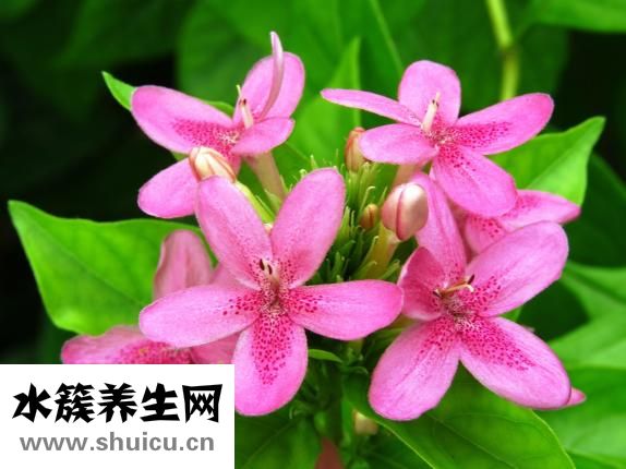 斷奶后多久來月經