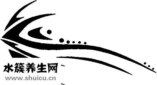 健身器材有哪些