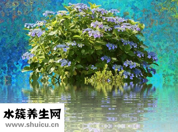 七年之癢什么意思