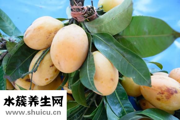 吃芒果有什么好處