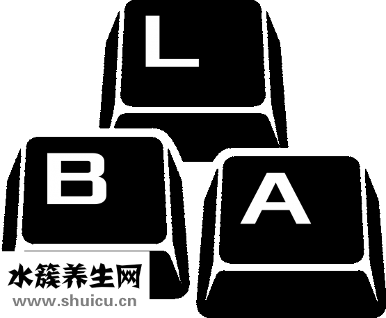 御姐是什么意思