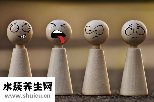 介質是什么意思