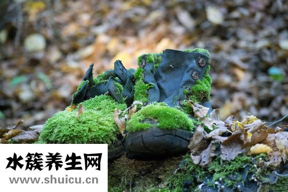 大腦供血不足怎么辦