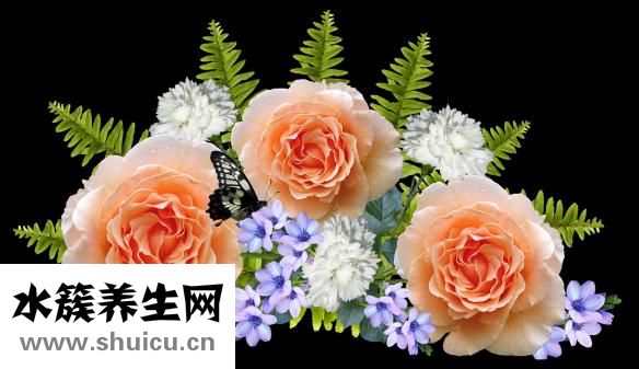 月經量少吃什么藥