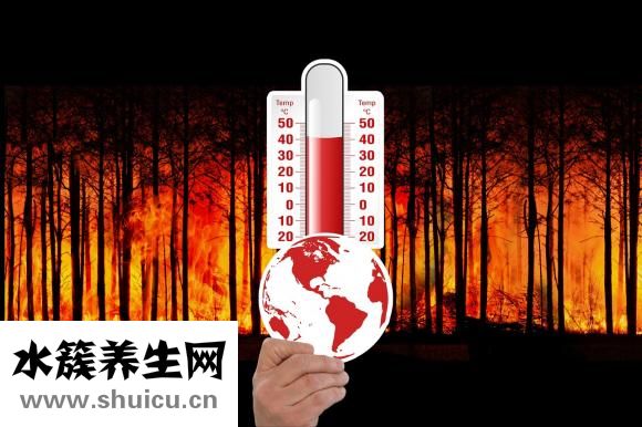 如何提高記憶力