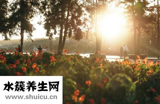 寶寶吃什么補鈣