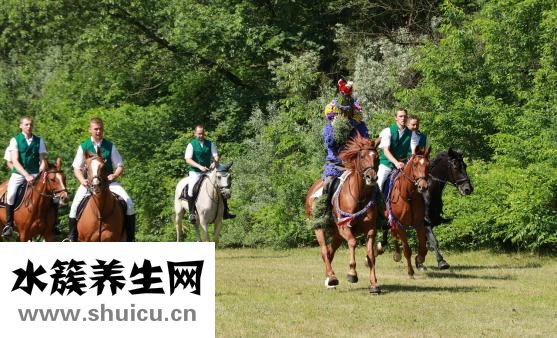 健身器材有哪些