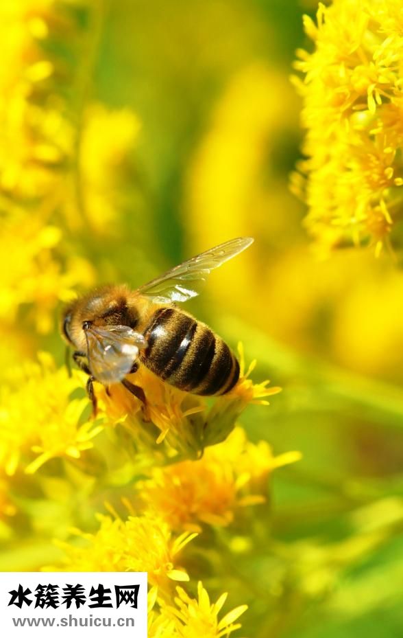 喉嚨有痰怎么辦