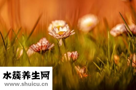 宮外孕是怎么引起的