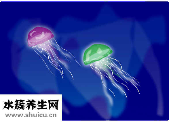 可樂(lè)雞翅怎么做好吃